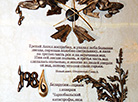 Commemorative plaque for Chernobyl victims unveiled in Minsk