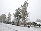 Spring in Belarus gets sidelined as winter fights back  