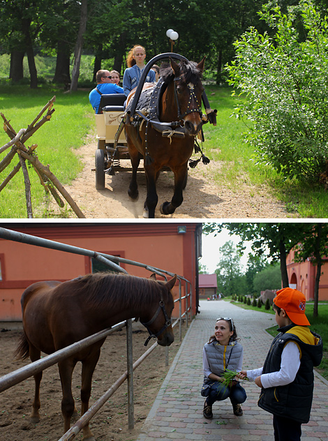 Stables