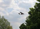 Light Aircraft Flights over Dukora