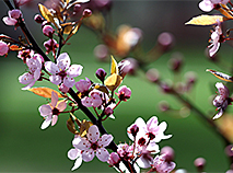 Best photos of Belarus in APRIL 2025