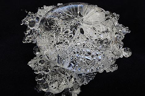 Exhibition of scientific developments at the National Academy of Sciences of Belarus 