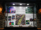 Fragments of meteorite on display in Minsk