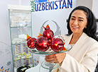 Belarus, Uzbekistan display national economic achievements in Vitebsk
