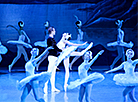 "Life in the Profession" by People's Artist of Belarus Olga Gaiko: the Bolshoi Theater's creative project continued with the ballet "Swan Lake"