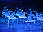 Swan Lake at Bolshoi Theater of Belarus 