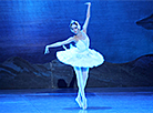 Swan Lake at Bolshoi Theater of Belarus 