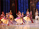 Swan Lake at Bolshoi Theater of Belarus 