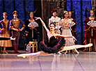 Swan Lake at Bolshoi Theater of Belarus 