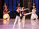 Swan Lake at Bolshoi Theater of Belarus 