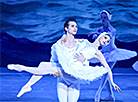 Swan Lake at Bolshoi Theater of Belarus 