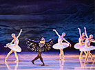 Swan Lake at Bolshoi Theater of Belarus 