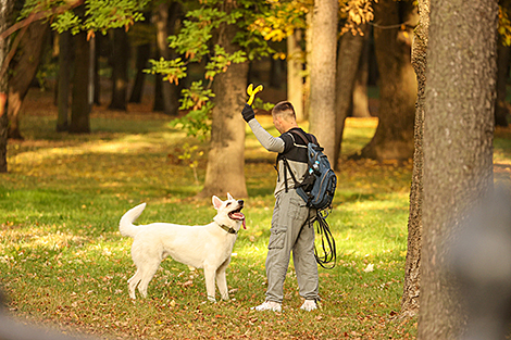 Прогулка в минском парке имени Янки Купалы 
