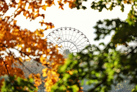 Колесо обозрения в столичном детском парке Горького