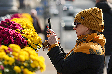 Осенние городские цветы