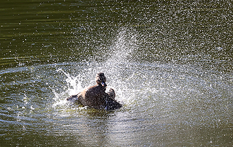 Октябрьский день в Минске