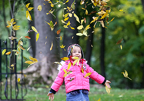 Осень в парке у дворца Румянцевых и Паскевичей в Гомеле