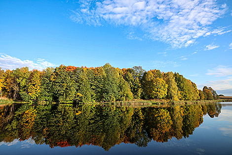 Живописный пейзаж на реке Птичь