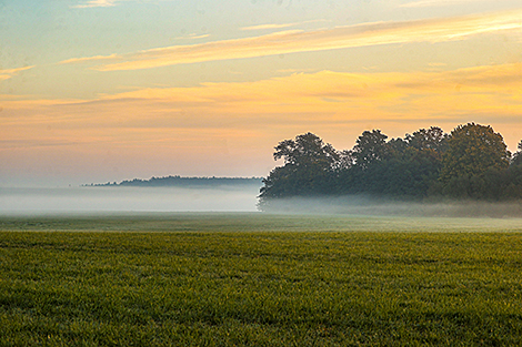 Туманный рассвет в Бресте