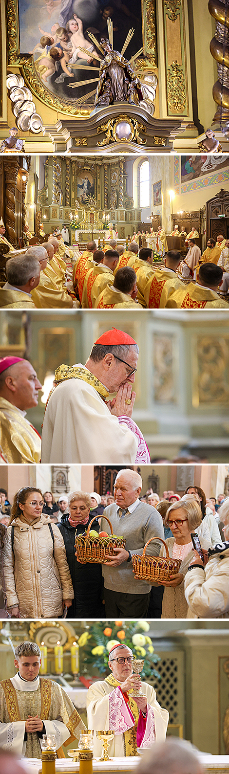 Спецпосланник Папы Римского возглавил литургию на торжестве по случаю 100-летия Пинской епархии