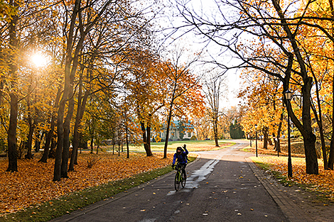 Осень в столичном Лошицком парке 