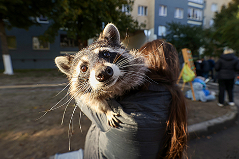 Гости фестиваля-ярмарки тружеников села Брестской области 