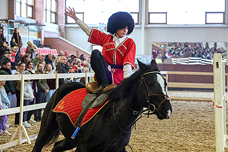 International Autumn 2025 pedigree horse show