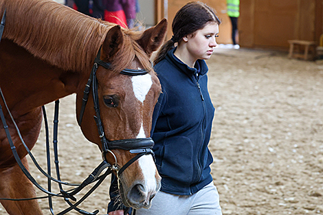 International Autumn 2025 pedigree horse show