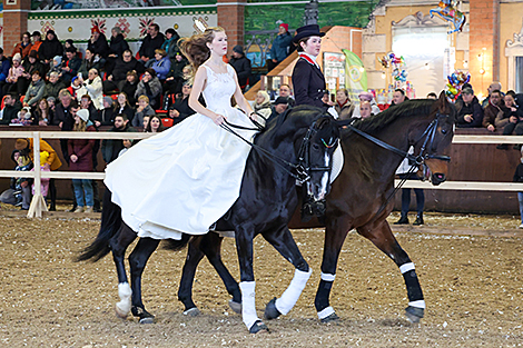 International Autumn 2025 pedigree horse show