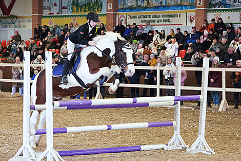 International Autumn 2025 pedigree horse show