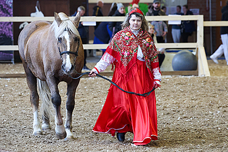 Pedigree horse show in Mogilev District