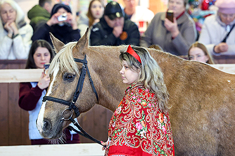 International Autumn 2025 pedigree horse show
International Autumn 2025 pedigree horse show
