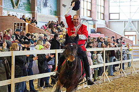 International Autumn 2025 pedigree horse show