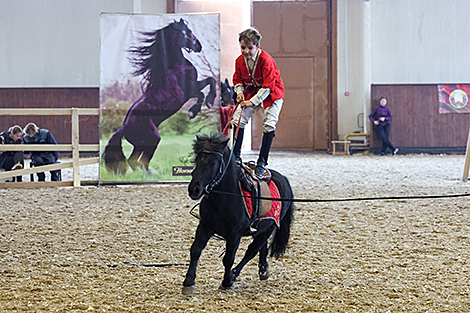 International Autumn 2025 pedigree horse show