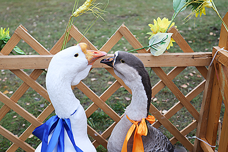 Millers' Festival in Grodno District