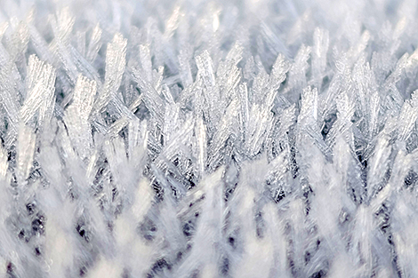 格罗德诺的银霜