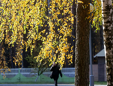 戈梅利的金色秋色