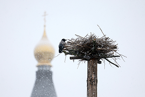 Зимний день в Гродно 