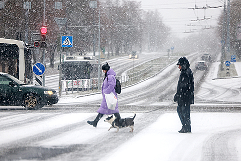 Ноябрьский снегопад в Гродно