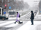 Ноябрьский снегопад в Гродно