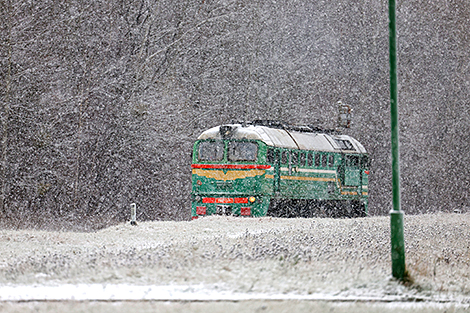 Ноябрьский снегопад в Гродно