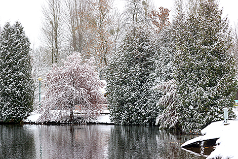 Заснеженные улицы в Бресте