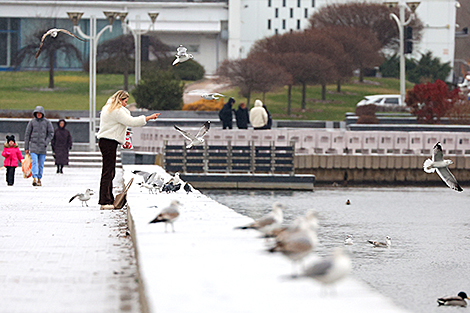 Заснеженная набережная Свислочи в Минске