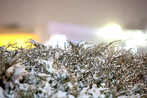 Снежный вечер в Минске 