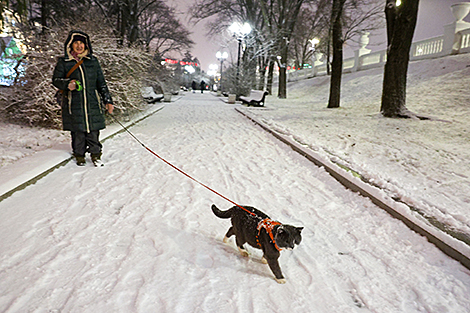 Вечерняя прогулка по заснеженным улицам Минска