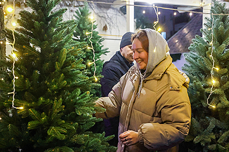 Предновогодние ярмарки в Бресте: ёлочный базар