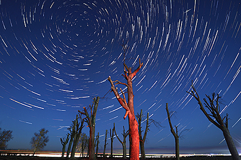 Звездное февральское небо в Гродненской области