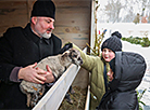 Живой рождественский вертеп у Коложской церкви в Гродно