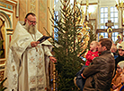Рождественское богослужение в храме святого благоверного князя Александра Невского в Минске