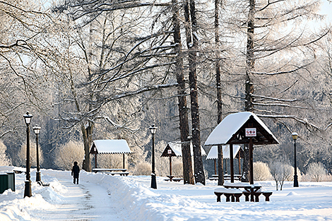 Январский день в Лошицком парке 